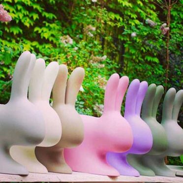 Photo Rabbit